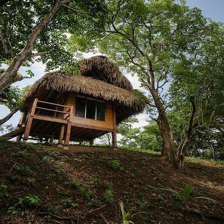 Eco Venao Lodge, Playa Venao Dış mekan fotoğraf