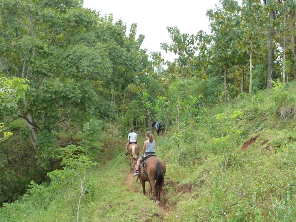 Eco Venao Lodge, Playa Venao Oda fotoğraf